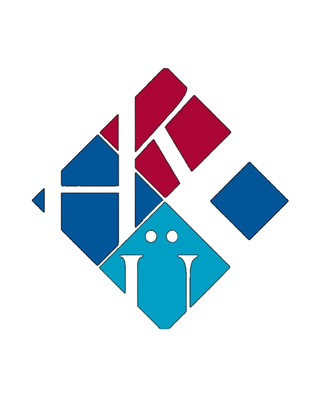 جامعة حسن كاليونكو